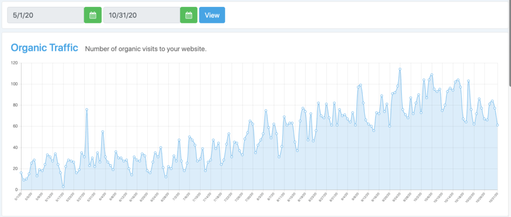 YTD Organic Traffic Summary